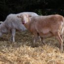 내동민원센터 이미지