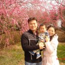 너는내운명 이미지