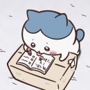 덕원중학교 이미지