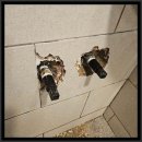 분당이매2-A-7 | 분당구 누수탐지 이매역 누수탐지, 24시간 안심하고 맡길 수 있었던 후기