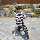 베베몽 | 5세 남아 자전거 | 삼천리 베베몽 플러스 밸런스바이크 사용 한달 후기