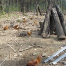 종성농장 이미지