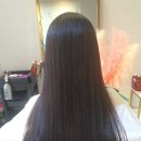 엘리스헤어?? 이미지