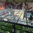 새차만들기셀프세차장 | [구로 손세차][광명 손세차] 구로 실내세차 '새차만들기' 스팅어 스팀 세차 내돈내산 후기