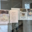 대구 동구 혁신도시 대형베이커리카페 마고플레인비스타 내돈내산 후기