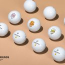 유한 스크린 골프 이미지