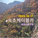 꼬마네식당 | 속초단풍놀이 속초케이블카 주차 정보 및 단풍현황