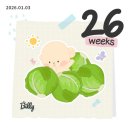 파크중기 | 임신 중기- 후기 26-30주차!