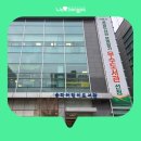 하늘꿈이자라는집지역아동센터 | [블로그기자단] 아이들의 꿈이 자라는 곳, 송파어린이도서관 '2025 서울시 우수 공공도서관'으로 선정!