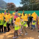 전남도청비둘기어린이집 이미지