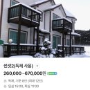 솔숲산 | 안면도 솔숲하우스 펜션 내돈내산 솔직후기