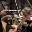 "단 하루 만에 바이올리니스트 데뷔?! 🎻 뮤즐리 음악학원과 함께한 설레는 바이올린 원데이 클래스 후기...