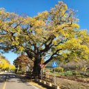 여항면공설운동장 이미지