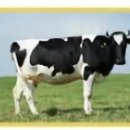 지환농장 이미지