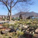 큰소나무농장 이미지