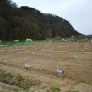 수성농장 이미지