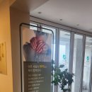 당신의봄날 네이버블로그