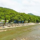 거락마을회관옆 이미지