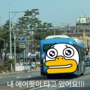호평동 버스종점 옆 도로 | 나의 찾기로 21개월 만에 찾은 에어팟프로2 - 실제후기