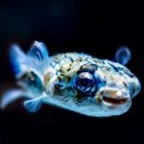 킹콩코인노래연습장 이미지