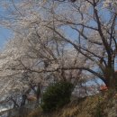 구)남상초등학교 이미지