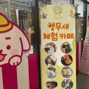 용인대 망포태권도장 이미지