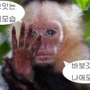쩜순이네닭강정