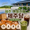제주당 베이커리카페 솔직 후기 | 800평 규모에 채소빵, 새별오름 뷰까지