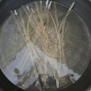 한호슈퍼 | [밀키트 리뷰] 홈플러스 | 로제 떡볶이 | 내돈내산 | 후기 | (+ 창립단독슈퍼세일 | 홈플런)