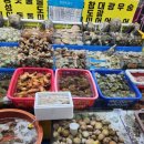 숨숨집당진 이미지