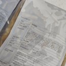 밑반찬배달 상하식품 궁채절임 고추장아찌