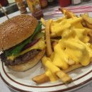 이자벨앤코 이미지