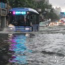 양재천로 이미지