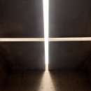 2주일은 참자 임플란트 음주 이미지