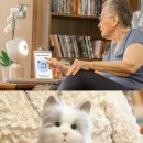 (주)캣프렌즈 이미지