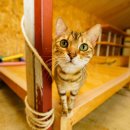 수빈목장 이미지