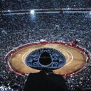 월드포장 이미지