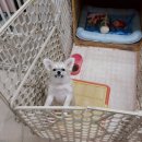 퍼펙트호텔 이미지