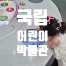 세종 아이와 가볼만한 곳, 국립어린이박물관 예약 후기, 5세 아이 체험 추천