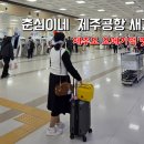 춘심이네오메기떡제주공항새길점 이미지