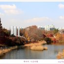 백야 이미지