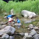 미시령선바위 이미지