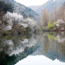 장태산휴양림 이미지