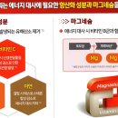 한서약국 이미지