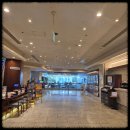 HOTEL1죽도 (호텔1죽도) | 🏨 [오사카 호텔 후기] 플라자 호텔 오사카 (Hotel Plaza Osaka) 솔직 리뷰: 가성비 굿, 옛 감성 그대로?!