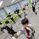 태비바른아이태권도장 이미지