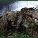 덕소자연사박물관 이미지