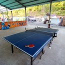 솔밭체육공원 이미지