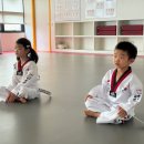 경희대 에이스 태권도 이미지