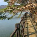 금광호수 이미지